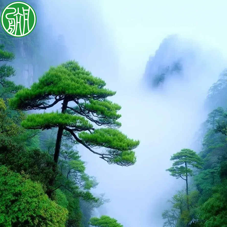 Profile Image of the Author