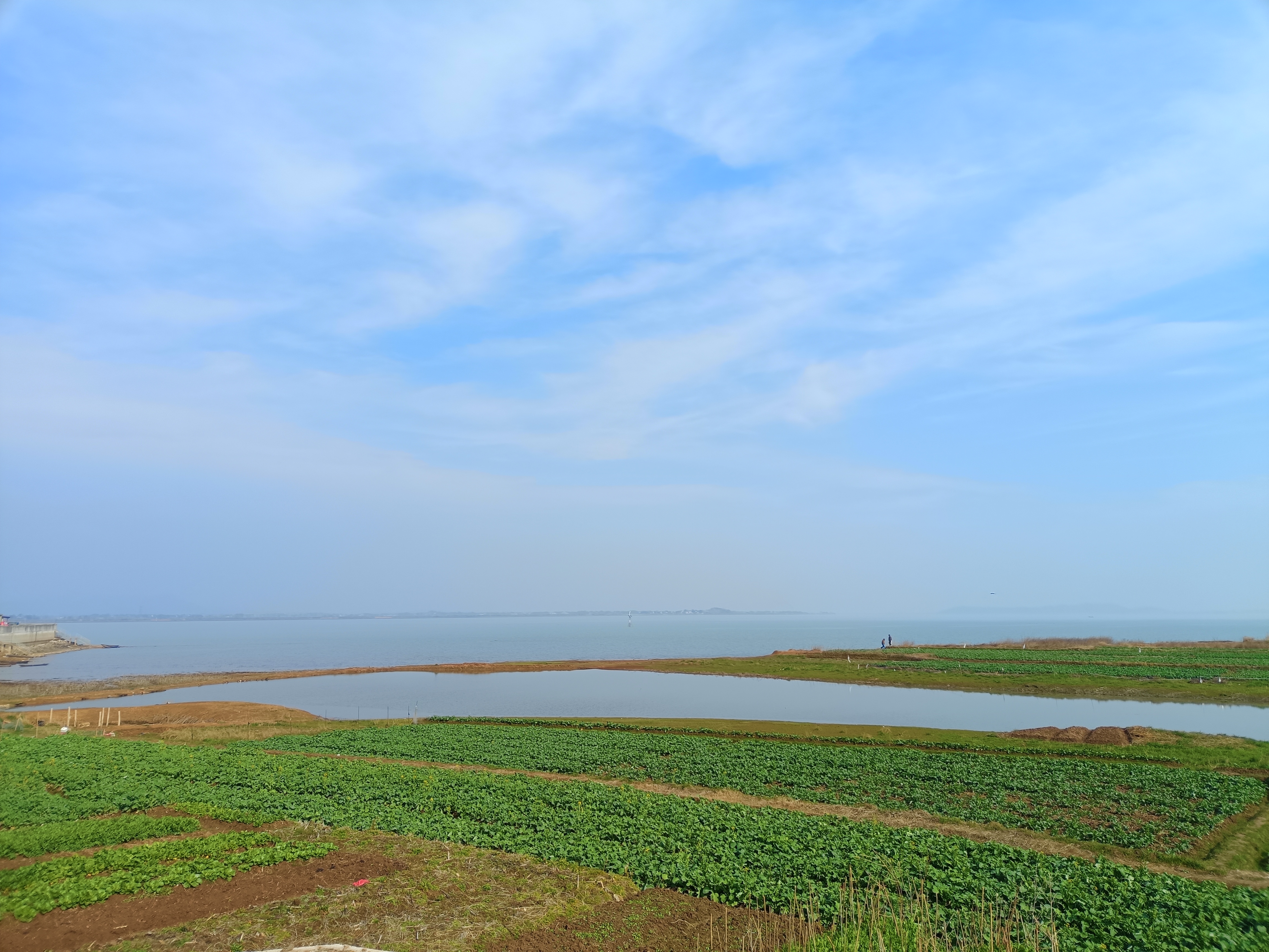 Cover Image of the Post